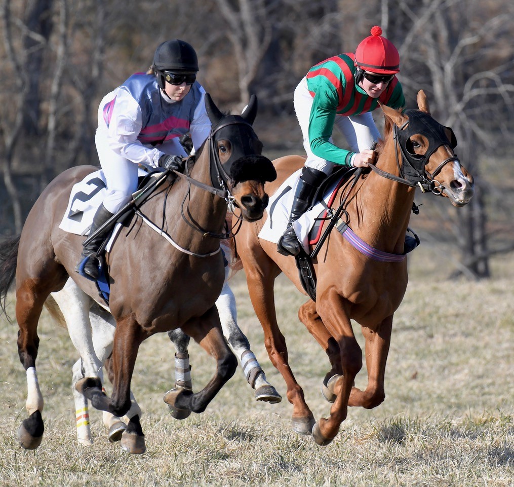 Brookfield Stables&#39; Diva of Seville (Elizabeth Scully-left) finished first in the maiden flat race. NRQ&#39;s Criticize (Graham Watters) was second.