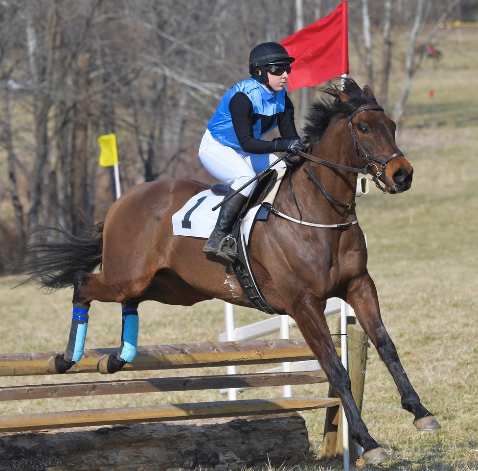Black and Blue Stable&#39;s Fletched (Elizabeth Scully) won the open timber race.